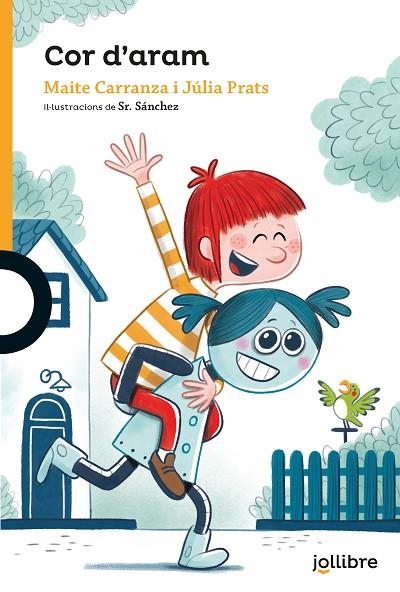 COR D?'ARAM | 9788418650079 | CARRANZA, MAITE/PRATS CARRANZA, JULIA | Llibreria L'Odissea - Libreria Online de Vilafranca del Penedès - Comprar libros