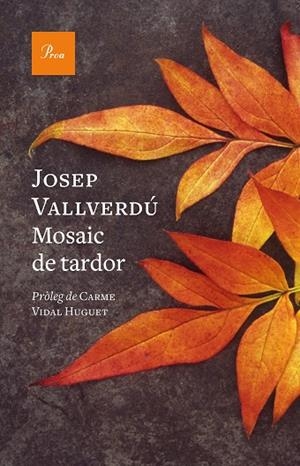 MOSAIC DE TARDOR | 9788419657244 | VALLVERDÚ AIXALÀ, JOSEP | Llibreria Online de Vilafranca del Penedès | Comprar llibres en català