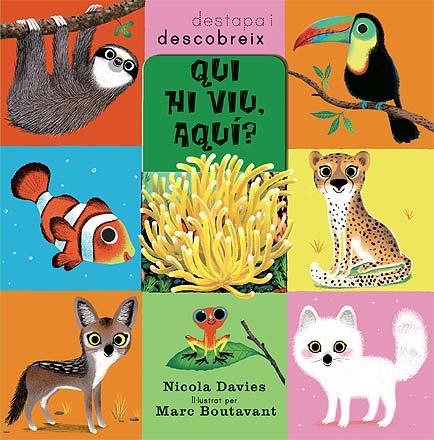 QUI VIU AQUI? | 9788426139993 | DAVIES, NICOLA | Llibreria L'Odissea - Libreria Online de Vilafranca del Penedès - Comprar libros