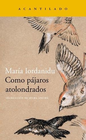 COMO PÁJAROS ATOLONDRADOS | 9788419036704 | IORDANIDU, MARIA | Llibreria L'Odissea - Libreria Online de Vilafranca del Penedès - Comprar libros