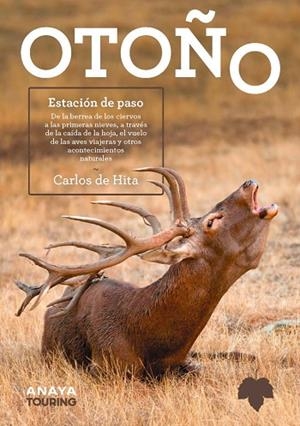 OTOÑO ESTACION DE PASO | 9788491586685 | HITA MORENO, CARLOS DE | Llibreria L'Odissea - Libreria Online de Vilafranca del Penedès - Comprar libros