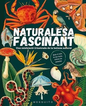NATURALESA FASCINANT | 9788419095596 | MOSQUITO BOOKS | Llibreria L'Odissea - Libreria Online de Vilafranca del Penedès - Comprar libros