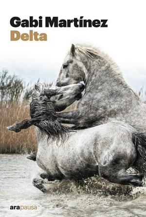 DELTA | 9788411730068 | MARTÍNEZ CENDRERO, GABRIEL | Llibreria Online de Vilafranca del Penedès | Comprar llibres en català