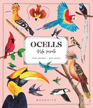 OCELLS  | 9788419095534 | ESCOBAR, DIANA/ORTEGA, RENA | Llibreria L'Odissea - Libreria Online de Vilafranca del Penedès - Comprar libros