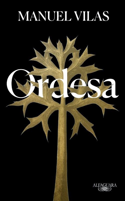 ORDESA ( EDICIÓN ESPECIAL 5 ANIVERSARIO ) | 9788420476551 | VILAS, MANUEL | Llibreria L'Odissea - Libreria Online de Vilafranca del Penedès - Comprar libros