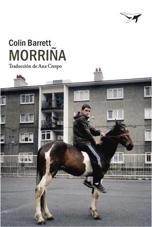 MORRIÑA | 9788412619423 | BARRETT, COLIN | Llibreria Online de Vilafranca del Penedès | Comprar llibres en català