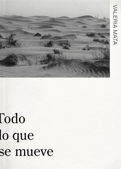 TODO LO QUE SE MUEVE | 9788409453207 | MATA MATA, VALERIA | Llibreria L'Odissea - Libreria Online de Vilafranca del Penedès - Comprar libros
