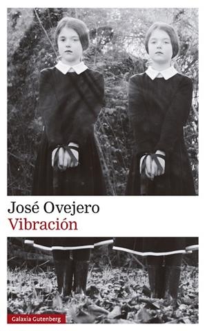 VIBRACIÓN | 9788419738615 | OVEJERO, JOSÉ | Llibreria L'Odissea - Libreria Online de Vilafranca del Penedès - Comprar libros