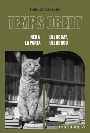 NEU A LA PORTA / ULL DE GAT, ULL DE BOU | 9788419590855 | COLOM, TERESA | Llibreria L'Odissea - Libreria Online de Vilafranca del Penedès - Comprar libros