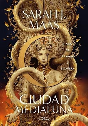 CASA DE LLAMA Y SOMBRA ( CIUDAD MEDIALUNA 3 ) | 9788419507570 | MAAS, SARAH J. | Llibreria L'Odissea - Libreria Online de Vilafranca del Penedès - Comprar libros