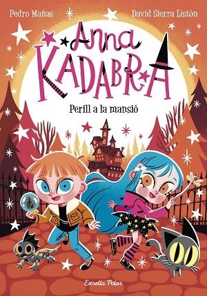 ANNA KADABRA 13 PERILL A LA MANSIÓ | 9788413897400 | MAÑAS, PEDRO/SIERRA LISTÓN, DAVID | Llibreria L'Odissea - Libreria Online de Vilafranca del Penedès - Comprar libros
