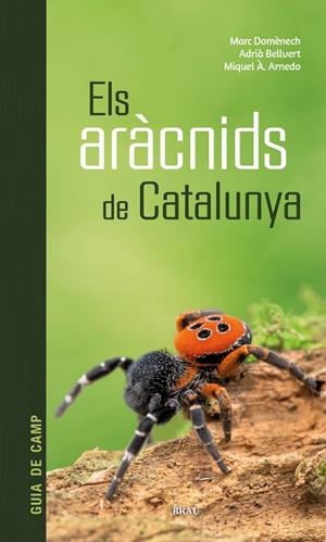 ELS ARÀCNIDS DE CATALUNYA | 9788418096686 | DOMÈNECH ANDREU, MARC/BELLVERT BANTÍ, ADRIÀ/ARNEDO LOMBARTE, MIQUEL ÀNGEL | Llibreria L'Odissea - Libreria Online de Vilafranca del Penedès - Comprar libros