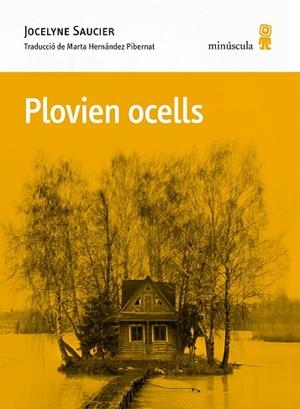 PLOVIEN OCELLS | 9788412662092 | SAUCIER, JOCELYNE | Llibreria L'Odissea - Libreria Online de Vilafranca del Penedès - Comprar libros