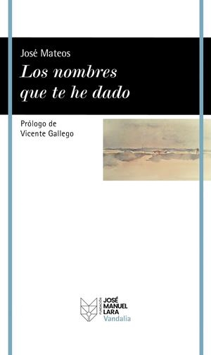 LOS NOMBRES QUE TE HE DADO | 9788419132345 | MATEOS, JOSÉ | Llibreria L'Odissea - Libreria Online de Vilafranca del Penedès - Comprar libros