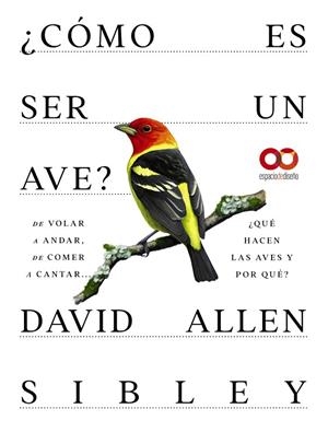 CÓMO ES SER UN AVE ?  | 9788441549050 | ALLEN SIBLEY, DAVID | Llibreria L'Odissea - Libreria Online de Vilafranca del Penedès - Comprar libros