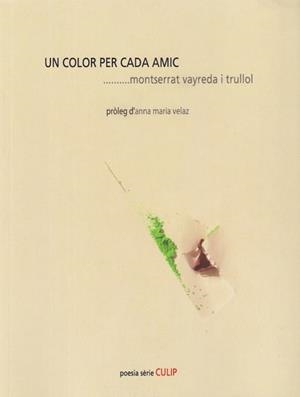 UN COLOR PER CADA AMIC | 9788481280647 | VAYREDA I TRULLOL, MONTSERRAT | Llibreria L'Odissea - Libreria Online de Vilafranca del Penedès - Comprar libros