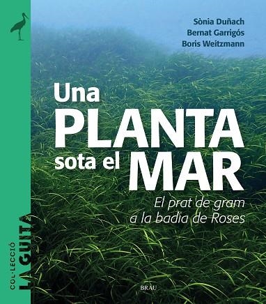 UNA PLANTA SOTA EL MAR | 9788418096747 | DUÑACH, SÒNIA/GARRIGÓS, BERNAT/WEITZMANN, BORIS | Llibreria L'Odissea - Libreria Online de Vilafranca del Penedès - Comprar libros