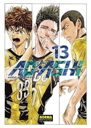 AO ASHI 13 | 9788467963328 | KOBAYASHI, YUGO | Llibreria L'Odissea - Libreria Online de Vilafranca del Penedès - Comprar libros