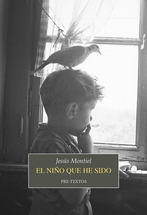 EL NIÑO QUE HE SIDO | 9788419633835 | MONTIEL, JESÚS | Llibreria L'Odissea - Libreria Online de Vilafranca del Penedès - Comprar libros