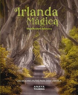 IRLANDA MÁGICA | 9788491587224 | ROCABERTI, DAVID | Llibreria L'Odissea - Libreria Online de Vilafranca del Penedès - Comprar libros