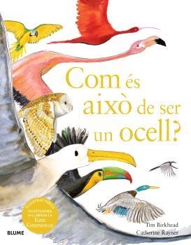 COM ÉS AIXÒ DE SER UN OCELL ? | 9788410048102 | BIRKHEAD, TIM/RAYNER, CATHERINE | Llibreria L'Odissea - Libreria Online de Vilafranca del Penedès - Comprar libros