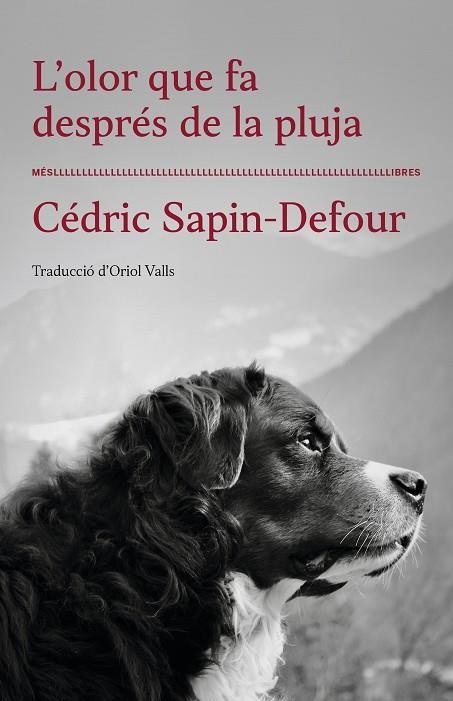 L'OLOR QUE FA DESPRÉS DE LA PLUJA | 9788417353568 | CÉDRIC SAPIN-DEFOUR | Llibreria L'Odissea - Libreria Online de Vilafranca del Penedès - Comprar libros