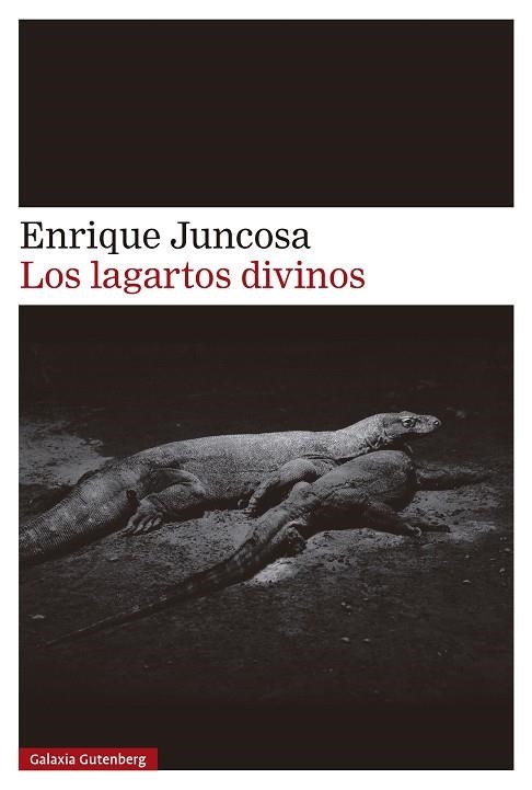 LOS LAGARTOS DIVINOS | 9788410107526 | JUNCOSA, ENRIQUE | Llibreria L'Odissea - Libreria Online de Vilafranca del Penedès - Comprar libros