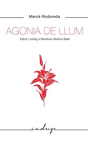 AGONIA DE LLUM | 9788412455748 | RODOREDA GURGUI, MERCÈ | Llibreria L'Odissea - Libreria Online de Vilafranca del Penedès - Comprar libros