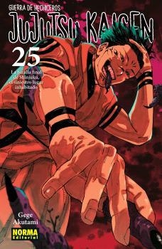 JUJUTSU KAISEN 25 | 9788467971743 | AKUTAMI, GEGE | Llibreria L'Odissea - Libreria Online de Vilafranca del Penedès - Comprar libros