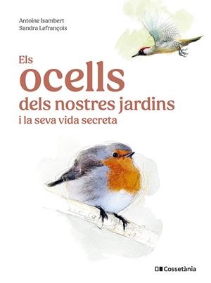 ELS OCELLS DELS NOSTRES JARDINS I LA SEVA VIDA SECRETA | 9788413563626 | ISAMBERT, ANTOINE | Llibreria Online de Vilafranca del Penedès | Comprar llibres en català