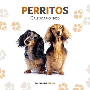 CALENDARIO PERRITOS 2025 | 9788448041649 | VV. AA | Llibreria L'Odissea - Libreria Online de Vilafranca del Penedès - Comprar libros