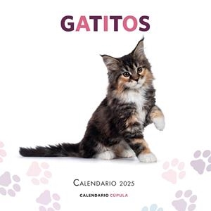 CALENDARIO GATITOS 2025 | 9788448041656 | VV. AA | Llibreria L'Odissea - Libreria Online de Vilafranca del Penedès - Comprar libros
