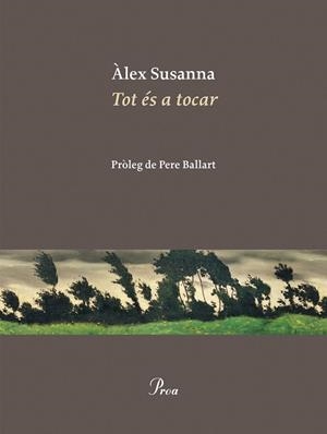TOT ÉS A TOCAR | 9788410488045 | SUSANNA NADAL, ÀLEX | Llibreria L'Odissea - Libreria Online de Vilafranca del Penedès - Comprar libros
