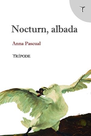 NOCTURN, ALBADA | 9788412817997 | PASCUAL VALL, ANNA | Llibreria L'Odissea - Libreria Online de Vilafranca del Penedès - Comprar libros