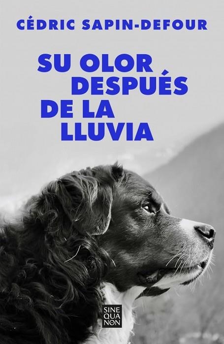 SU OLOR DESPUÉS DE LA LLUVIA | 9788466678766 | SAPIN-DEFOUR, CÉDRIC | Llibreria L'Odissea - Libreria Online de Vilafranca del Penedès - Comprar libros