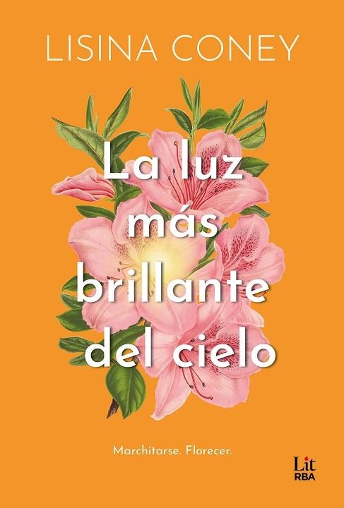 LA LUZ MÁS BRILLANTE DEL CIELO | 9788411329323 | CONEY, LISINA | Llibreria Online de Vilafranca del Penedès | Comprar llibres en català