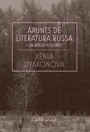 APUNTS DE LITERATURA RUSSA I UN AFEGIT POLONÈS | 9788412212358 | DYAKONOVA, XÈNIA | Llibreria Online de Vilafranca del Penedès | Comprar llibres en català