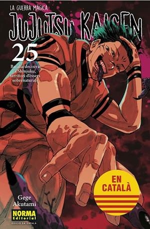 JUJUTSU KAISEN 25 CATALA | 9788467969979 | AKUTAMI, GEGE | Llibreria L'Odissea - Libreria Online de Vilafranca del Penedès - Comprar libros