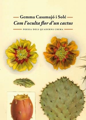 COM L'OCULTA FLOR D'UN CACTUS | 9788477277071 | CASAMAJÓ I SOLÉ, GEMMA | Llibreria L'Odissea - Libreria Online de Vilafranca del Penedès - Comprar libros