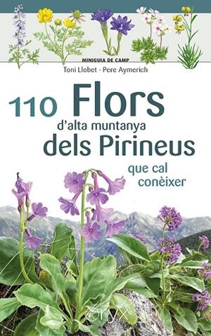 110 FLORS D'ALTA MUNTANYA DELS PIRINEUS | 9788413564647 | AYMERICH, PERE | Llibreria Online de Vilafranca del Penedès | Comprar llibres en català