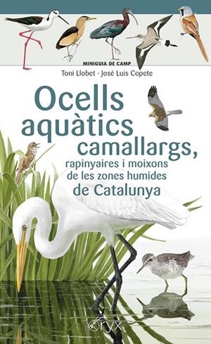 OCELLS AQUÀTICS CAMALLARGS RAPINYAIRES I MOIXONS DE LES ZONES HUMIDES DE CATALU | 9788413564746 | COPETE, JOSÉ LUIS | Llibreria Online de Vilafranca del Penedès | Comprar llibres en català