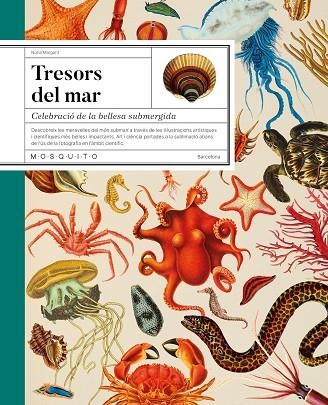 TRESORS DEL MAR | 9788419095756 | MARGARIT, NÚRIA | Llibreria L'Odissea - Libreria Online de Vilafranca del Penedès - Comprar libros