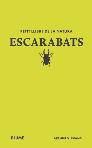 PETIT LLIBRE DE LA NATURA ESCARABATS | 9788410268746 | EVANS, ARTHUR V | Llibreria Online de Vilafranca del Penedès | Comprar llibres en català