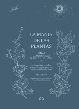 LA MAGIA DE LAS PLANTAS | 9788425235641 | GAYOSO, ANA | Llibreria Online de Vilafranca del Penedès | Comprar llibres en català