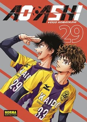 AO ASHI 29 | 9788467973044 | KOBAYASHI, YUGO | Llibreria L'Odissea - Libreria Online de Vilafranca del Penedès - Comprar libros
