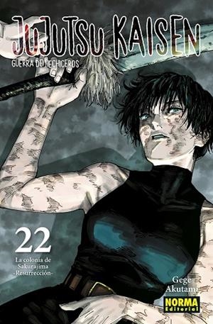 JUJUTSU KAISEN 22 | 9788467962000 | AKUTAMI, GEGE | Llibreria L'Odissea - Libreria Online de Vilafranca del Penedès - Comprar libros