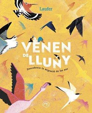VENEN DE LLUNY | 9788482897349 | LAUFER (LAURA FERNÁNDEZ ARQUISOLA) | Llibreria Online de Vilafranca del Penedès | Comprar llibres en català