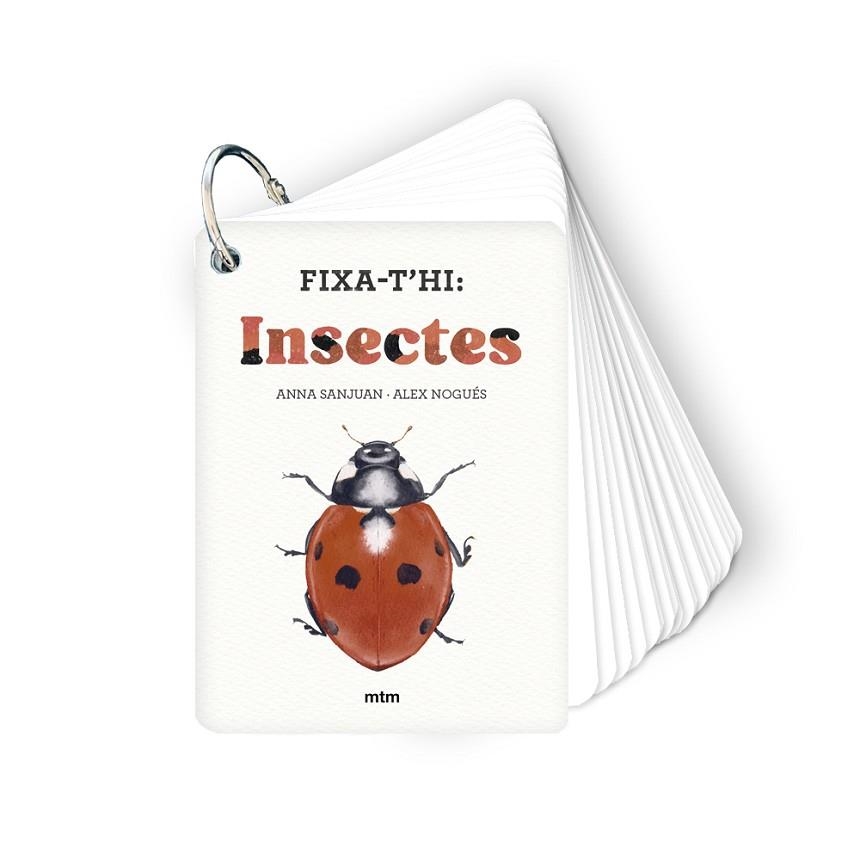 FIXA-T'HI INSECTES | 9788410407213 | SANJUAN LLORENS, ANNA/NOGUÉS OTERO, ALEX | Llibreria Online de Vilafranca del Penedès | Comprar llibres en català