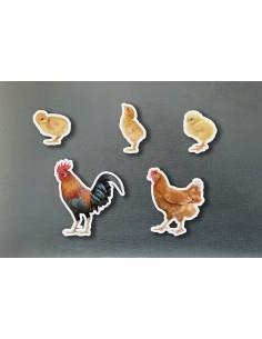 MAGNÉTICOS FAMILIAS GALLINAS | 0760412890964 | VV. AA | Llibreria Online de Vilafranca del Penedès | Comprar llibres en català