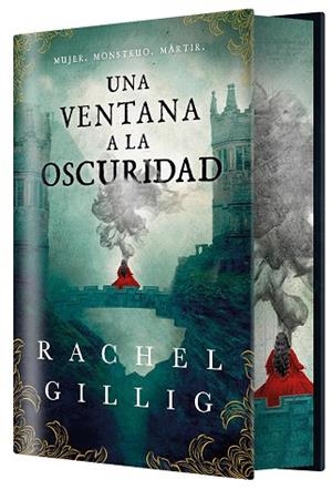 UNA VENTANA A LA OSCURIDAD ( EDICIÓN ESPECIAL LIMITADA ) | 9788410163850 | GILLIG, RACHEL | Llibreria Online de Vilafranca del Penedès | Comprar llibres en català